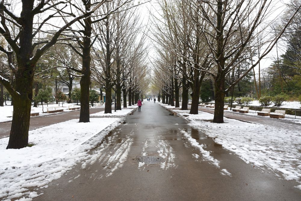 光が丘公園の画像 - 5枚目