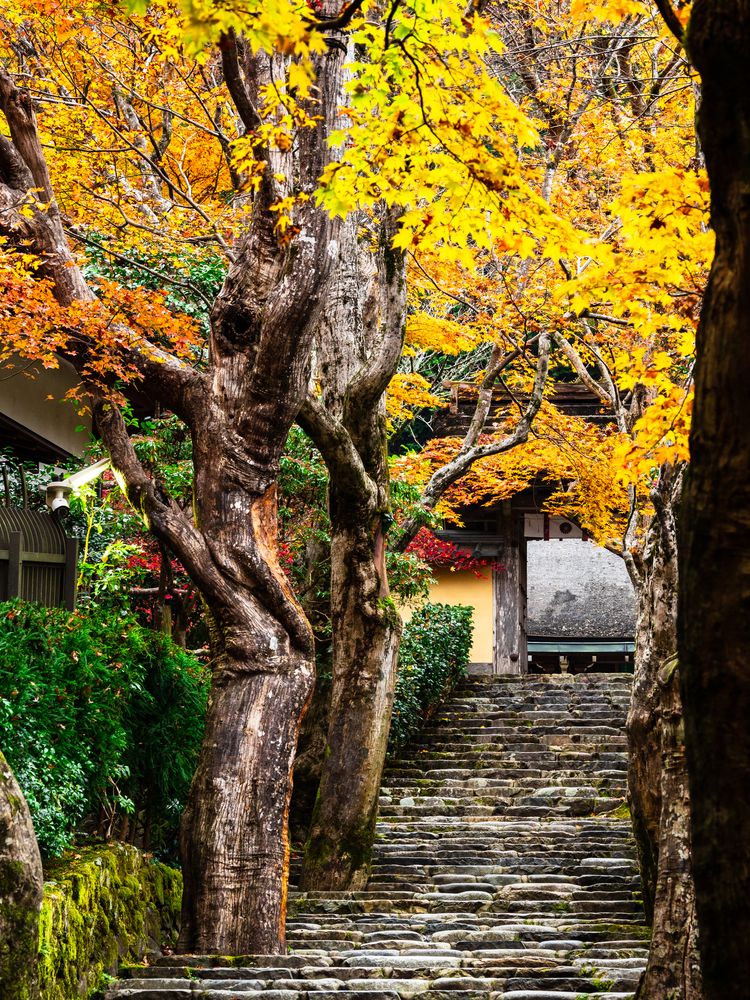 寂光院の画像 - 2枚目