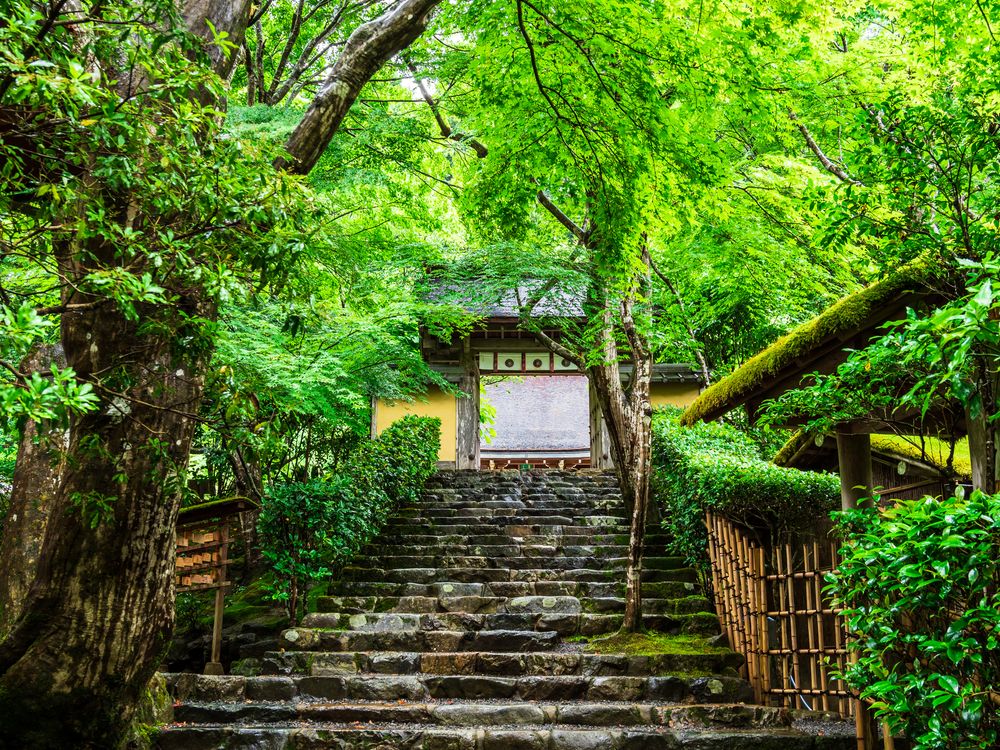 寂光院の画像 - 3枚目