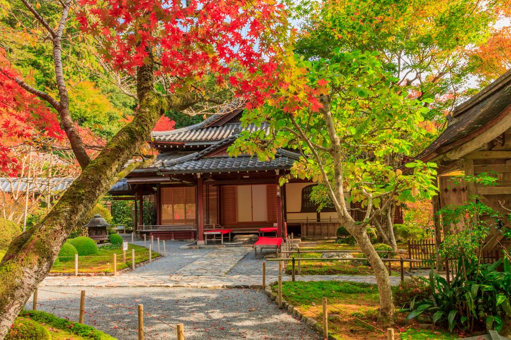 寂光院の画像 - 4枚目