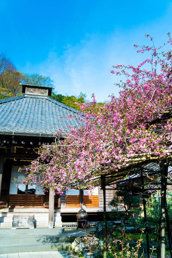 光則寺の画像 - 4枚目