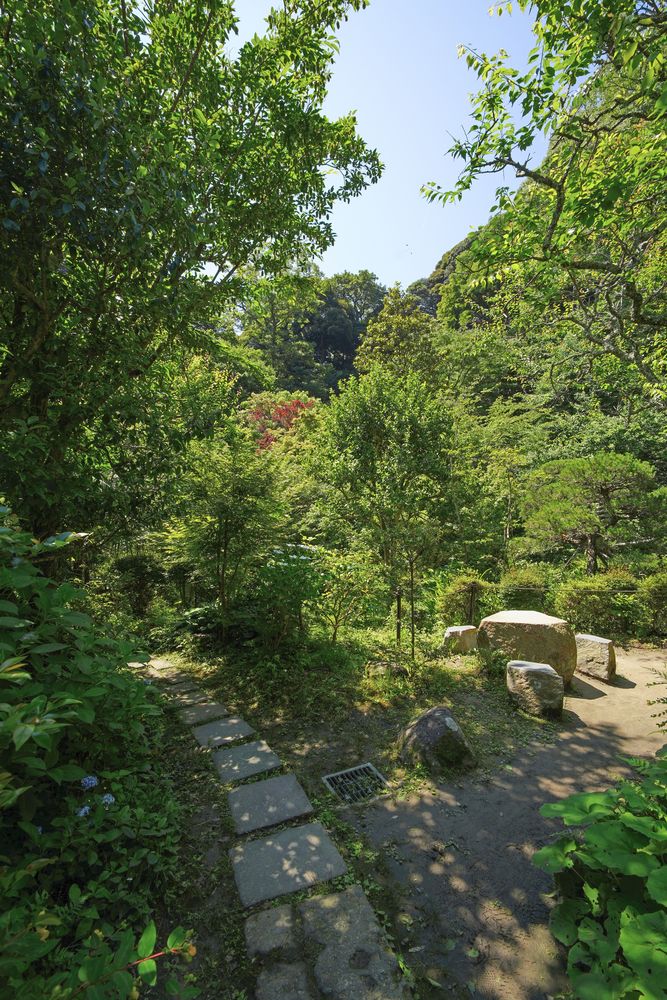 光則寺の画像 - 7枚目
