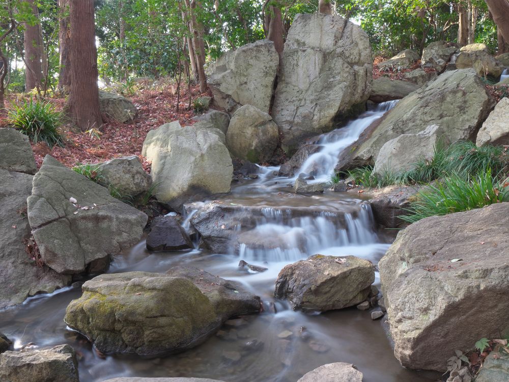 栃木県中央公園の画像 - 2枚目