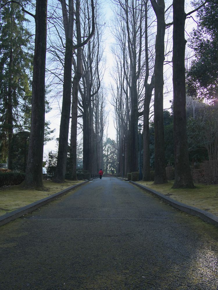 栃木県中央公園の画像 - 3枚目