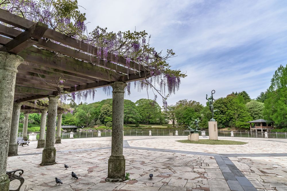 栃木県中央公園の画像 - 4枚目