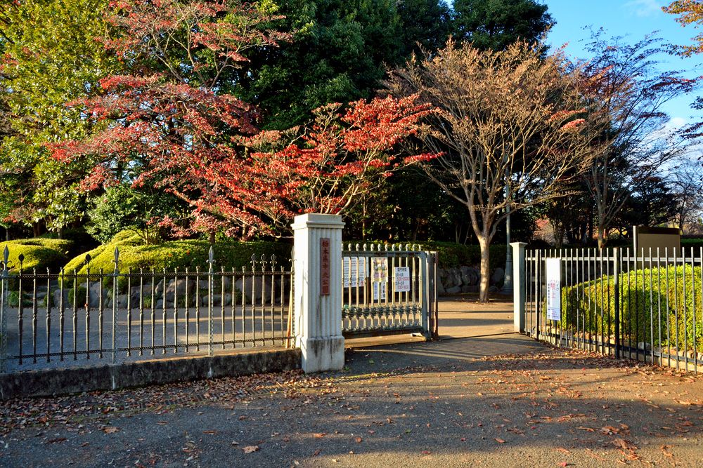 栃木県中央公園の画像 - 5枚目