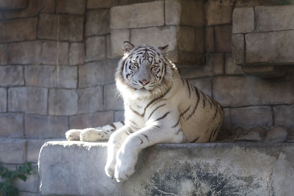 東武動物公園の画像 - 4枚目