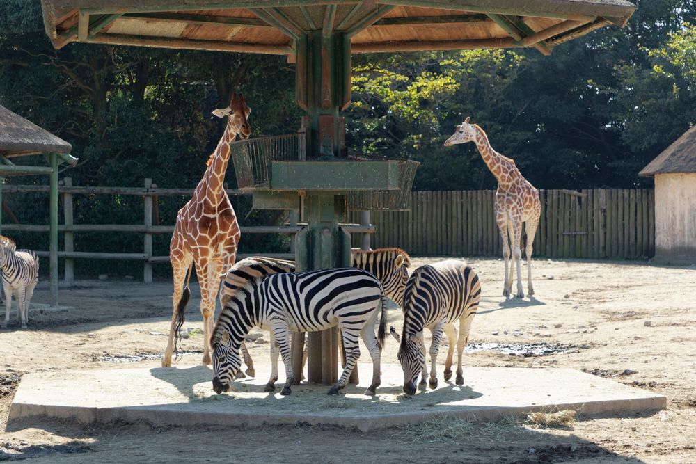 東武動物公園の画像 - 5枚目