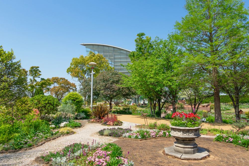 名古屋港ワイルドフラワーガーデン ブルーボネット