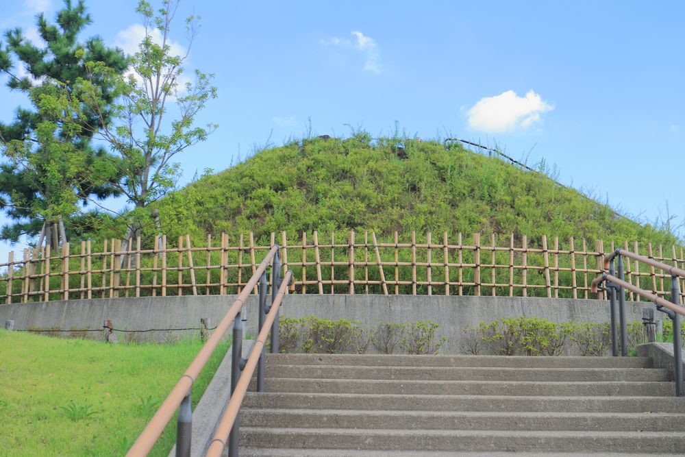 二子玉川公園の画像 - 4枚目