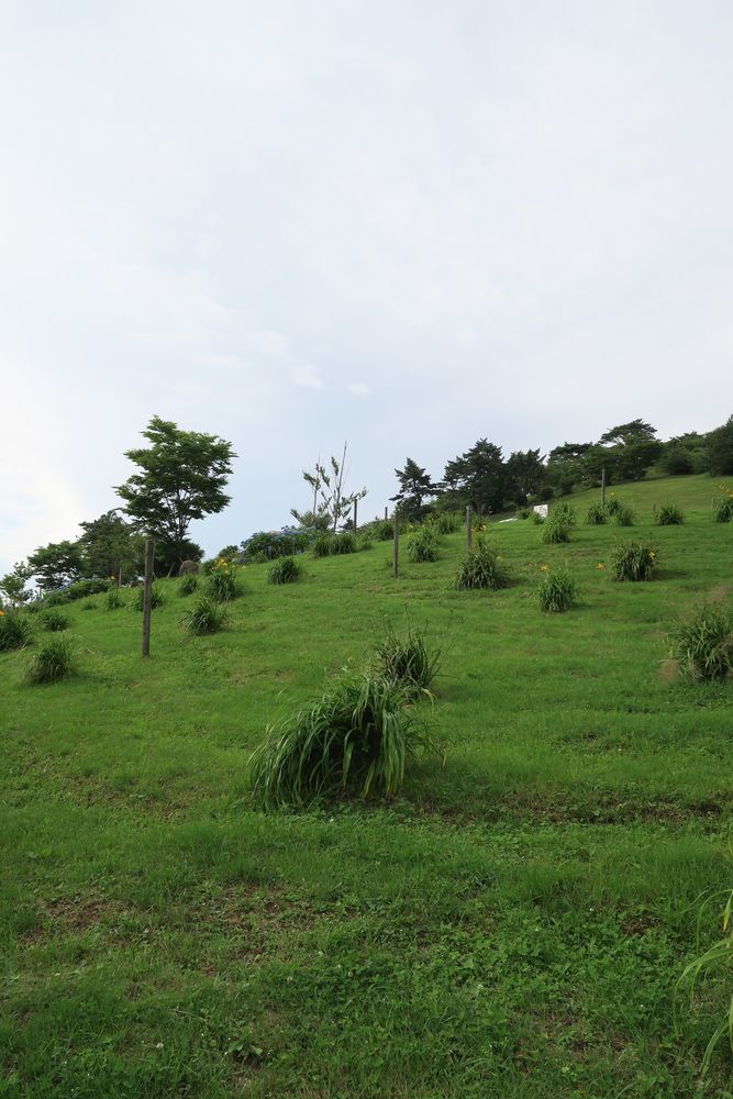 六甲山アスレチックパークGREENIAの画像 - 4枚目