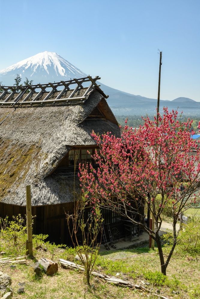西湖いやしの里根場の画像 - 2枚目