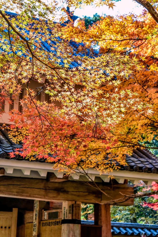 油山寺の画像 - 2枚目