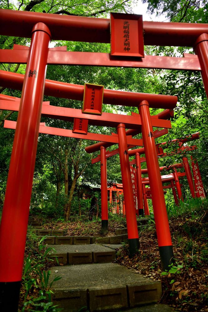 油山寺の画像 - 4枚目