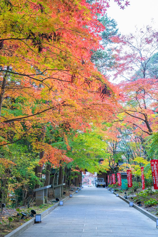 油山寺の画像 - 5枚目