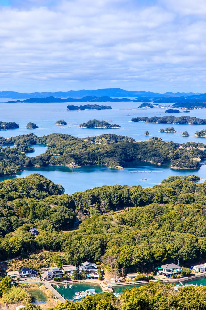 展海峰の画像 - 3枚目