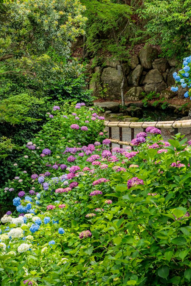 柳谷観音 楊谷寺の画像 - 2枚目