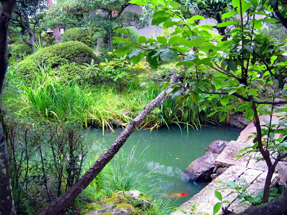 大原美術館の画像 - 5枚目