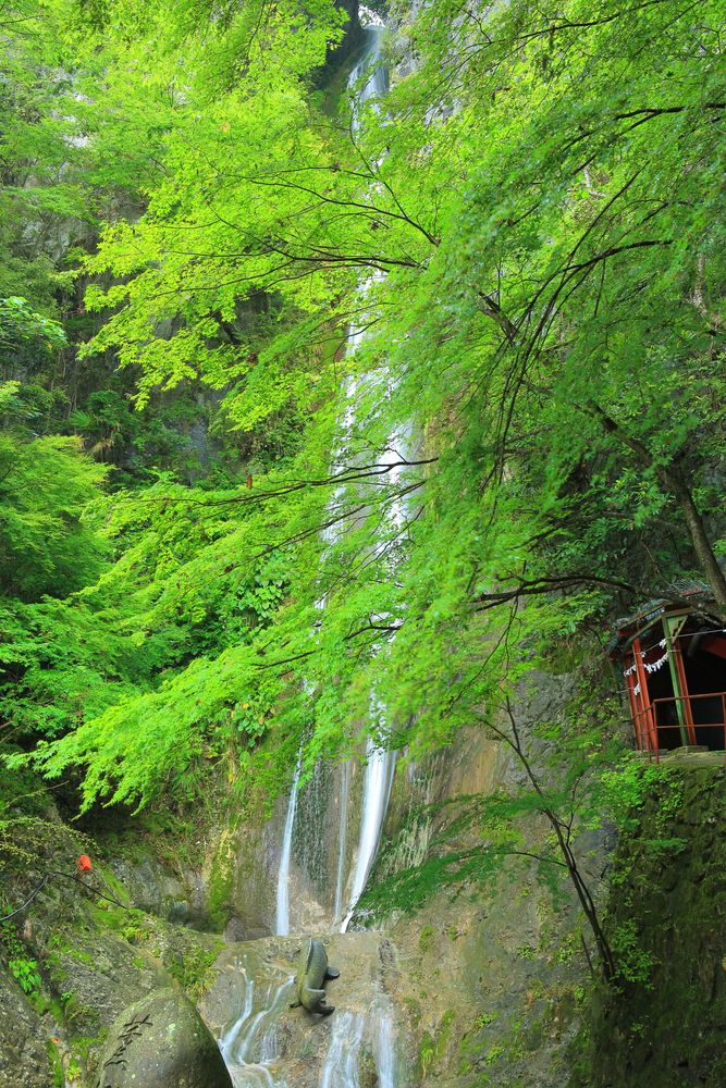 井倉洞の画像 - 2枚目