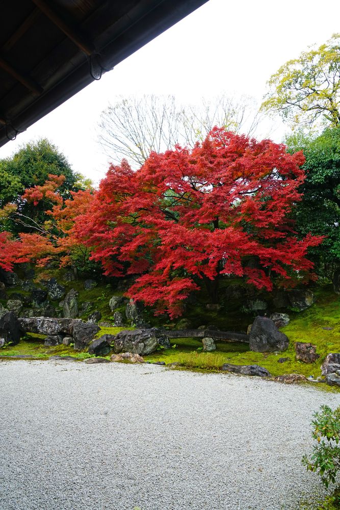 圓徳院の画像 - 3枚目