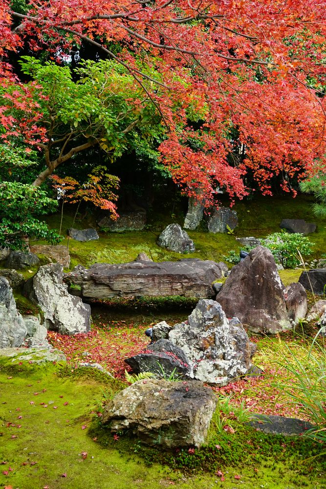 圓徳院の画像 - 4枚目