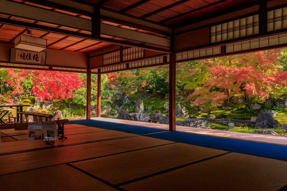 圓徳院の画像 - 7枚目