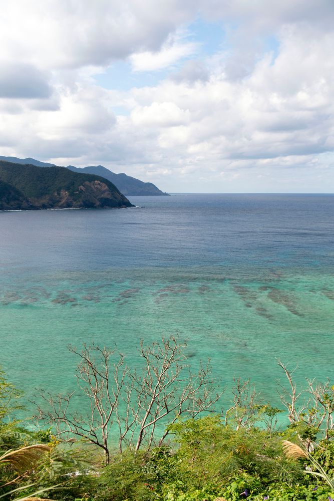 宮古崎の画像 - 2枚目