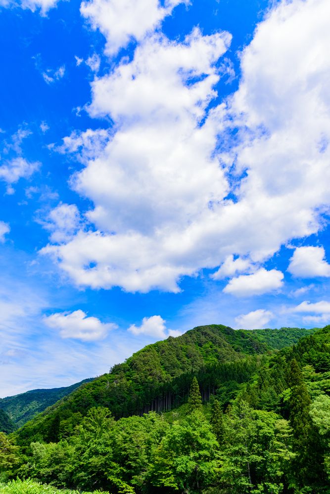 抱返り渓谷の画像 - 4枚目