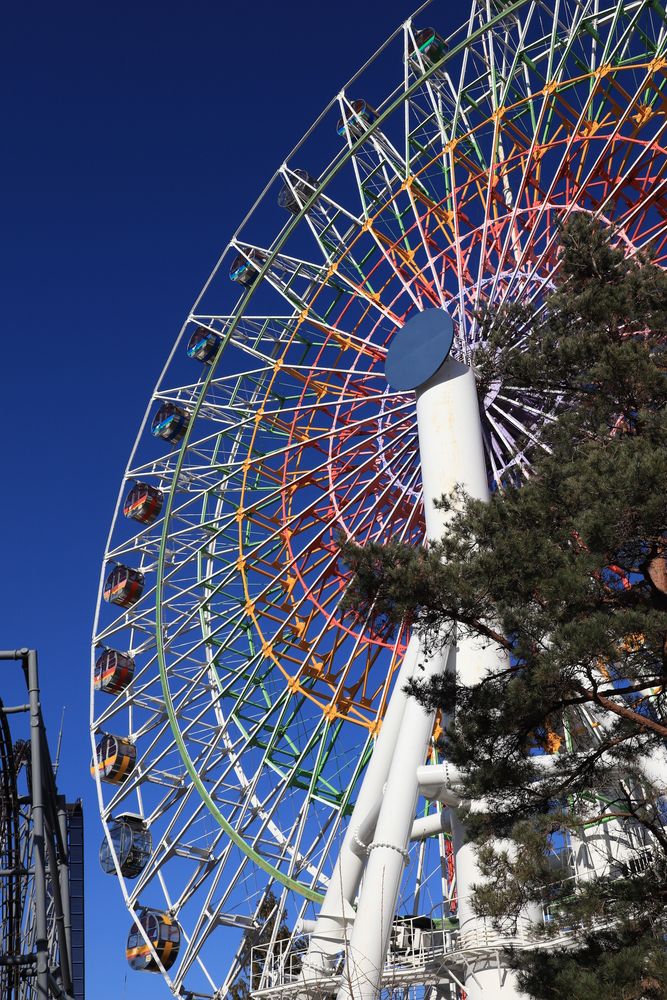 富士急ハイランドの画像 - 2枚目