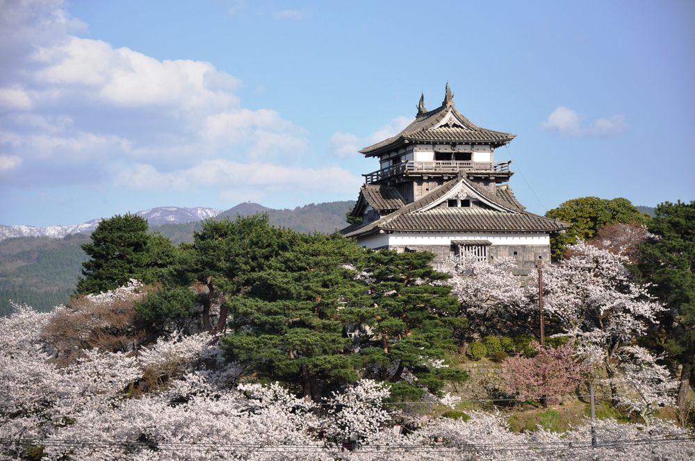 丸岡城の画像 - 6枚目