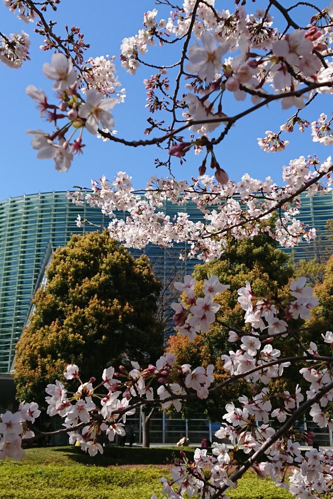 国立新美術館の画像 - 3枚目