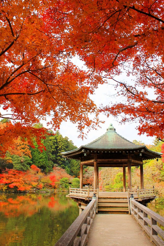 成田山公園の画像 - 2枚目