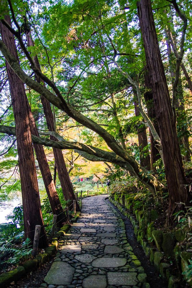 成田山公園の画像 - 3枚目