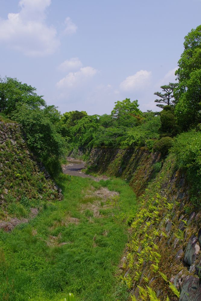 大和郡山城跡（郡山城跡公園）の画像 - 2枚目
