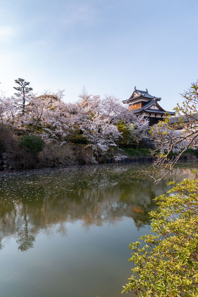 大和郡山城跡（郡山城跡公園）の画像 - 3枚目