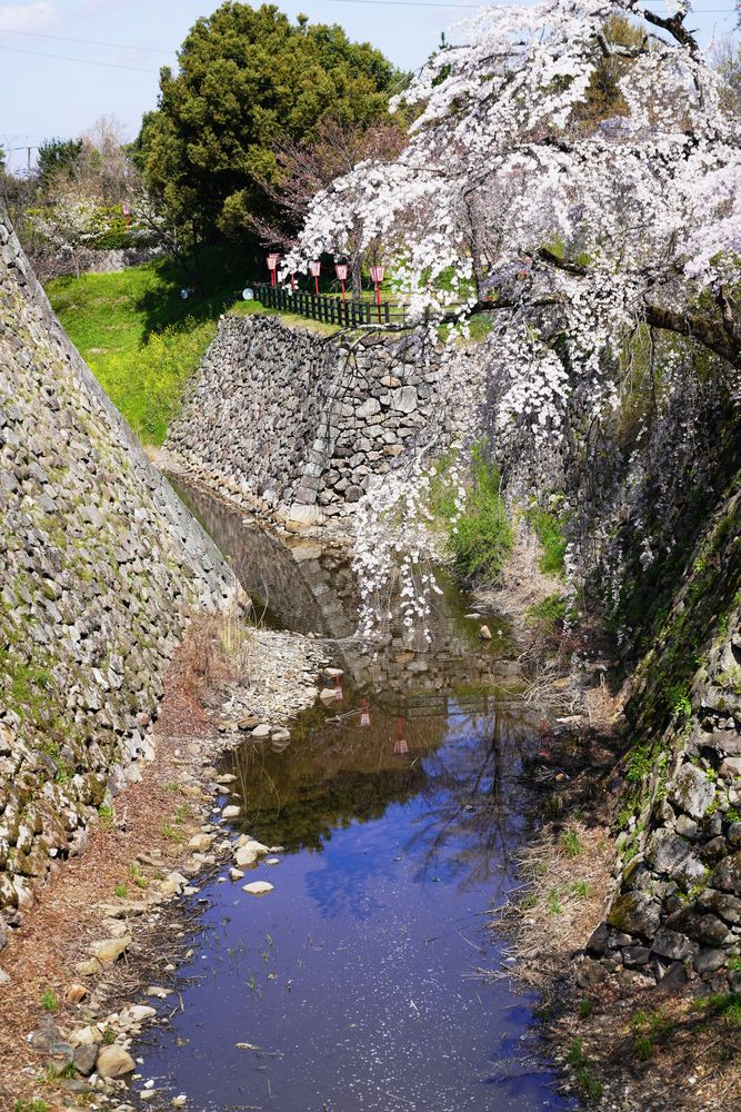 大和郡山城跡（郡山城跡公園）の画像 - 4枚目
