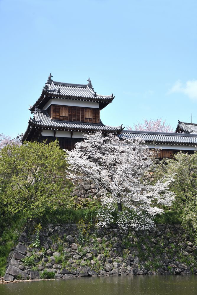 大和郡山城跡（郡山城跡公園）の画像 - 5枚目