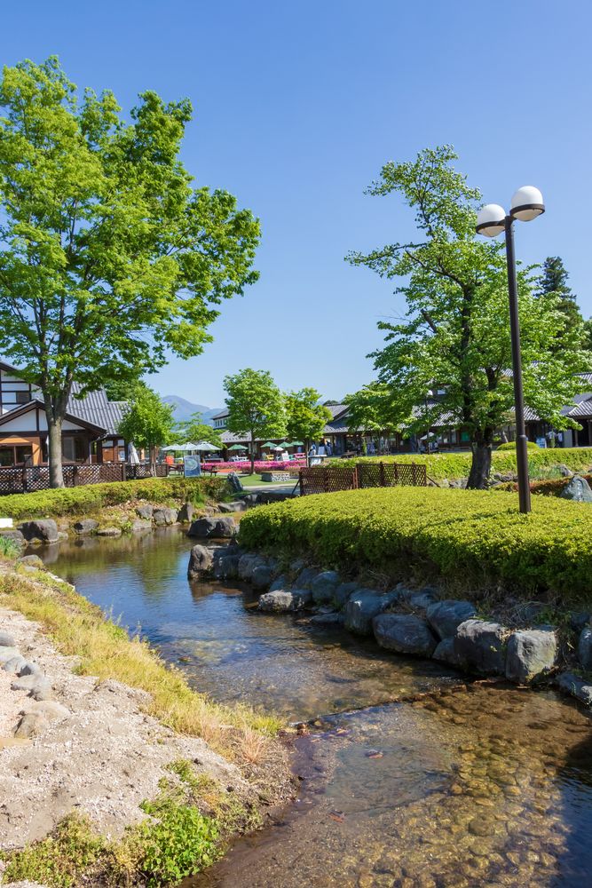 道の駅 田園プラザかわばの画像 - 6枚目