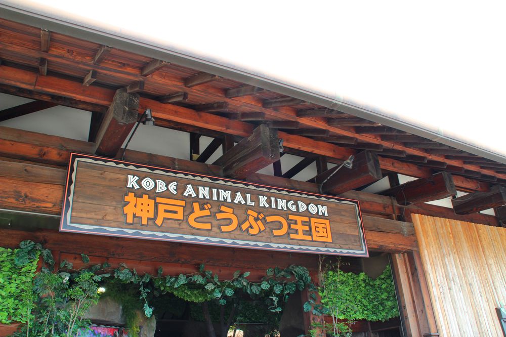 神戸どうぶつ王国の画像 - 6枚目