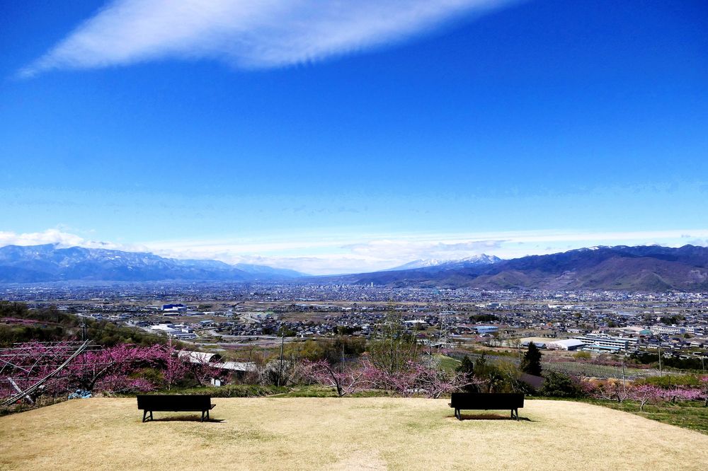 笛吹市八代ふるさと公園の画像 - 6枚目