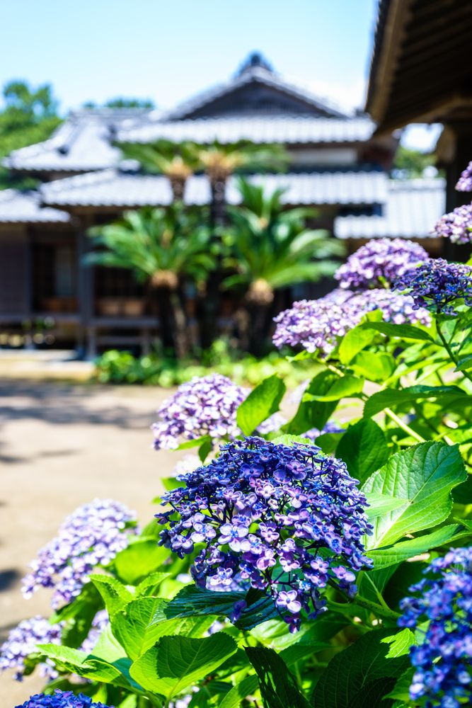沼津御用邸記念公園の画像 - 2枚目