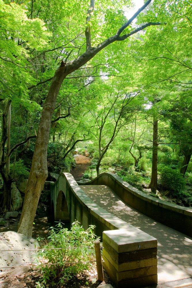 有栖川宮記念公園の画像 - 2枚目