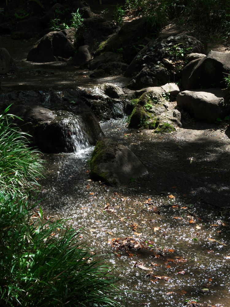 有栖川宮記念公園の画像 - 3枚目