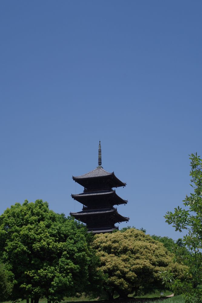 備中国分寺の画像 - 3枚目