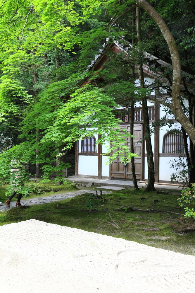 法然院の画像 - 5枚目