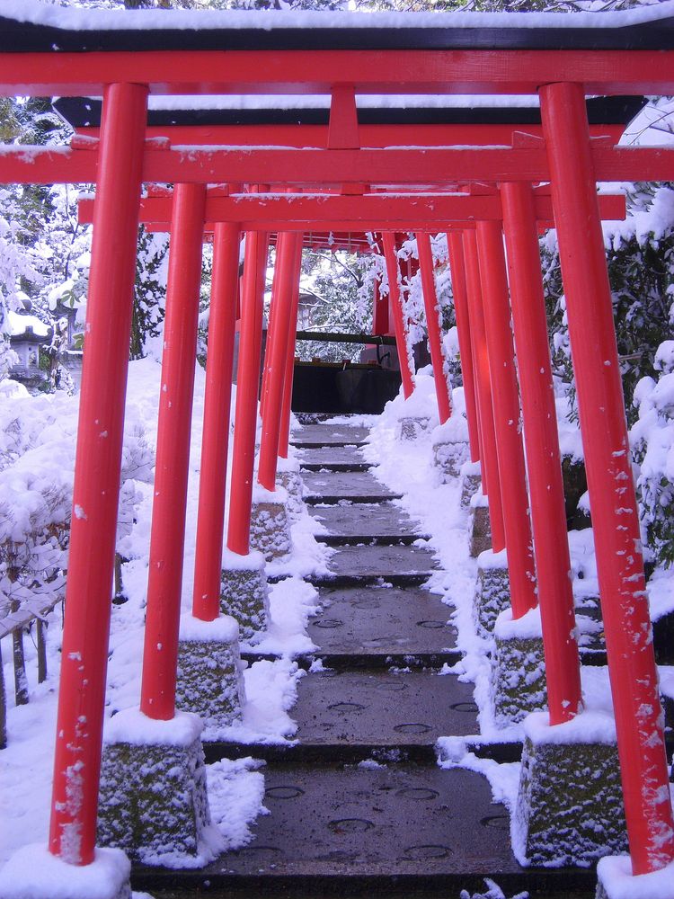 金澤神社の画像 - 2枚目