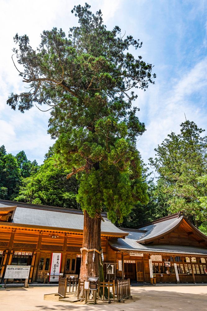 穂高神社の画像 - 5枚目