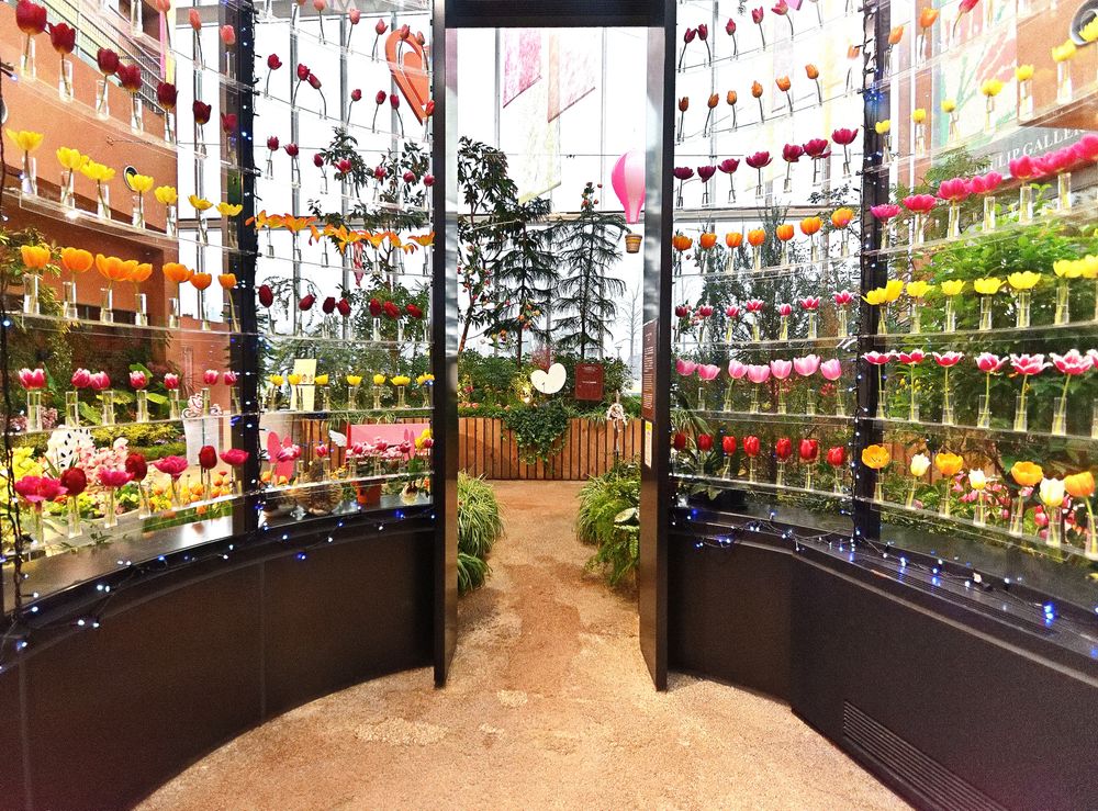 チューリップ四季彩館