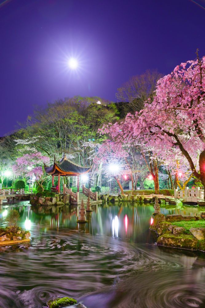 岐阜公園の画像 - 3枚目