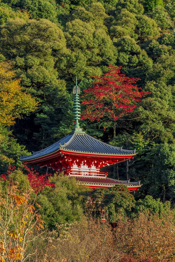 岐阜公園の画像 - 4枚目